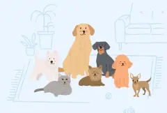 barkibu rev prod pic