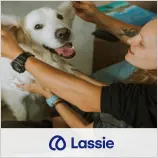 screenshot1lassie dsk